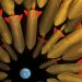 Illustration of Sound - Variation 1 thumbnail